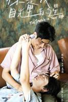 台剧《你是我目光里的星》电视剧免费在线观看全集